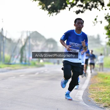 Runner Photo 3496591