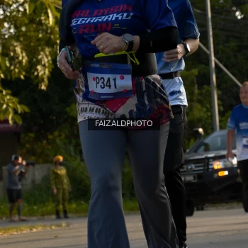 Runner Photo 3496870