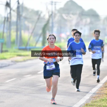 Runner Photo 3497335