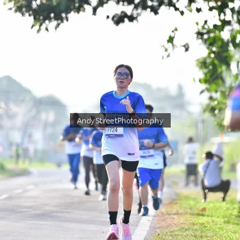 Runner Photo 3497369