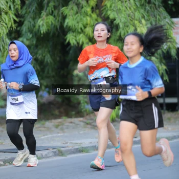 Runner Photo 3498639