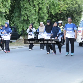 Runner Photo 3511894