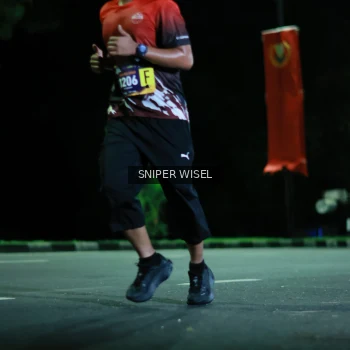 Runner Photo 3513180