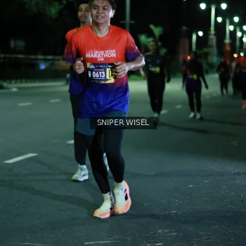 Runner Photo 3516705