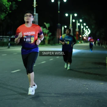 Runner Photo 3520247