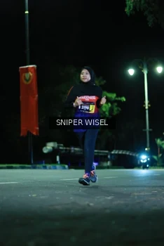 Runner Photo 3520723