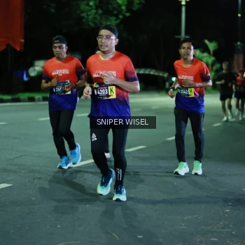 Runner Photo 3523656