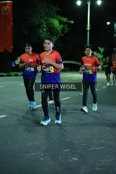 Runner Photo 3523658