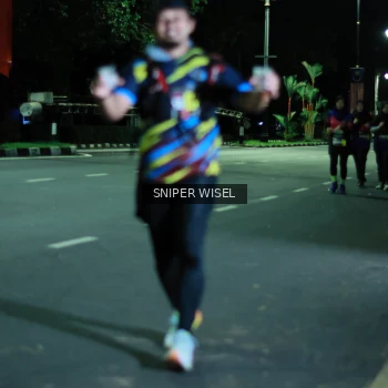 Runner Photo 3524556