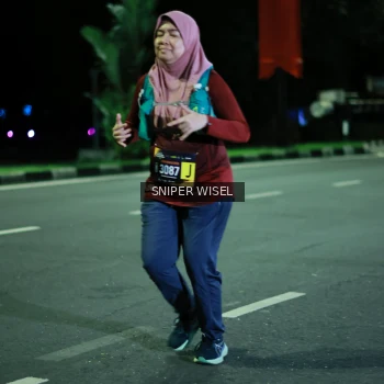 Runner Photo 3527475