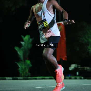 Runner Photo 3527598