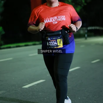 Runner Photo 3527662