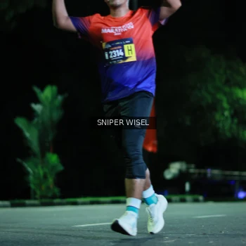 Runner Photo 3527745