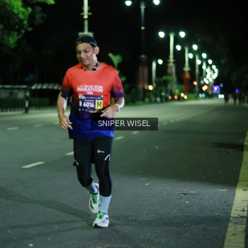 Runner Photo 3528345