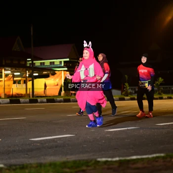 Runner Photo 3532658