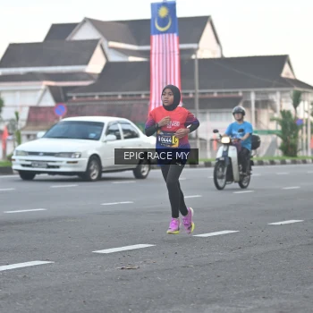 Runner Photo 3534481