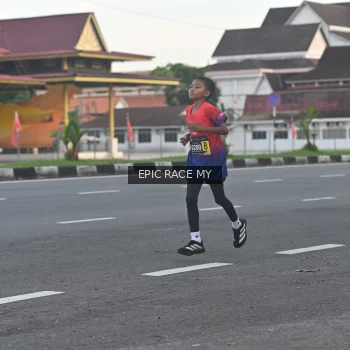 Runner Photo 3534555