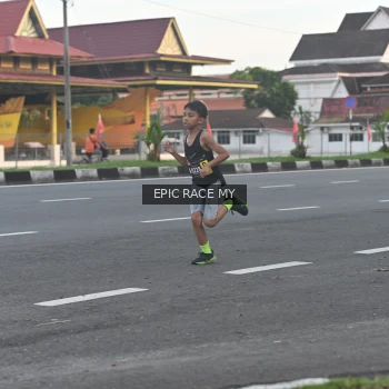 Runner Photo 3534558