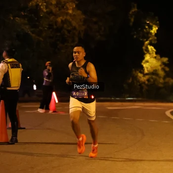 Runner Photo 3538810