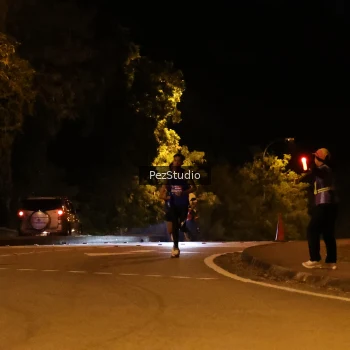 Runner Photo 3538845