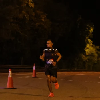 Runner Photo 3538854
