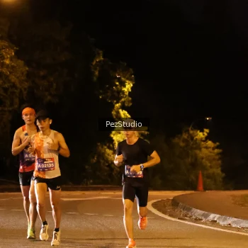 Runner Photo 3538880