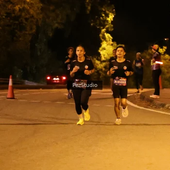 Runner Photo 3539001