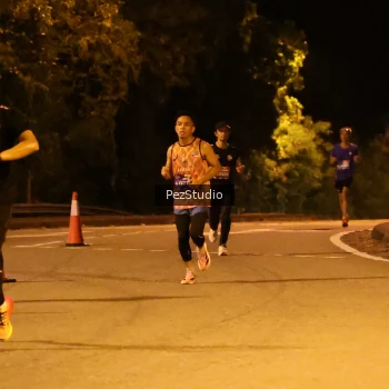 Runner Photo 3539015