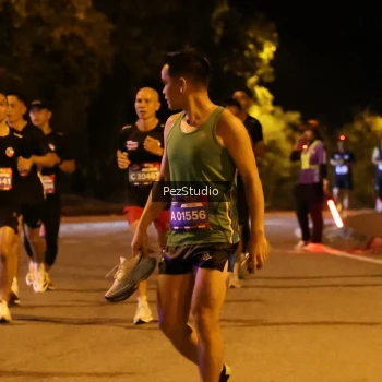 Runner Photo 3539037