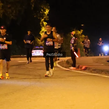 Runner Photo 3539042