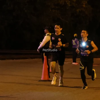 Runner Photo 3539074