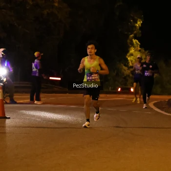 Runner Photo 3539083