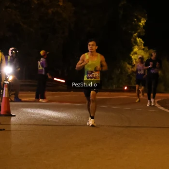 Runner Photo 3539084