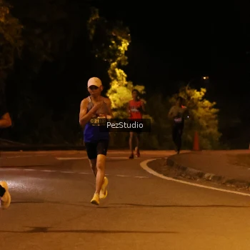 Runner Photo 3539085