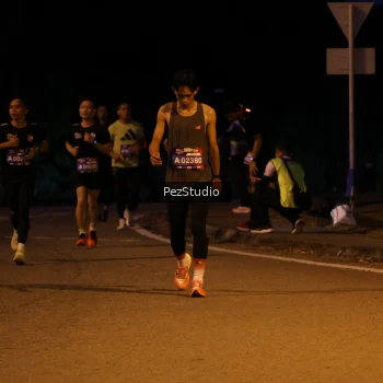 Runner Photo 3539107