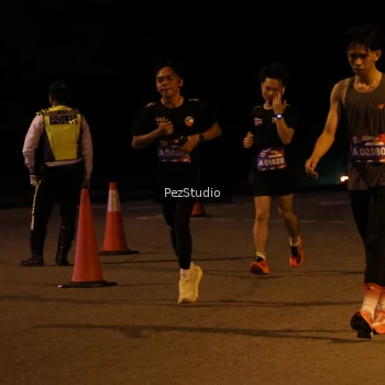 Runner Photo 3539108