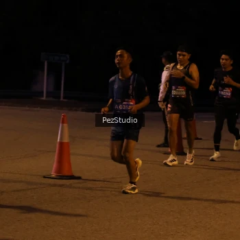 Runner Photo 3539132
