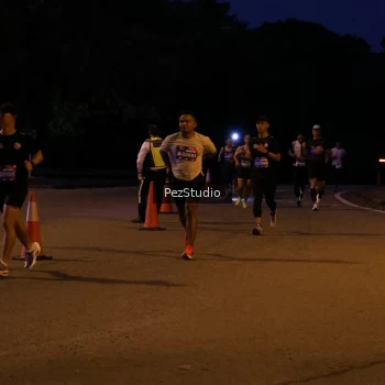 Runner Photo 3539137