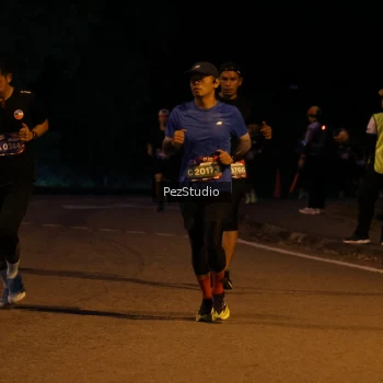 Runner Photo 3539150