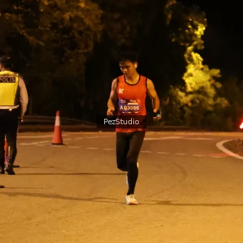 Runner Photo 3539153