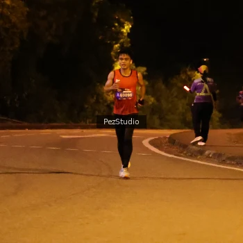 Runner Photo 3539158
