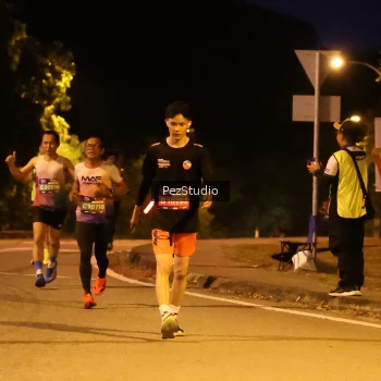 Runner Photo 3539164