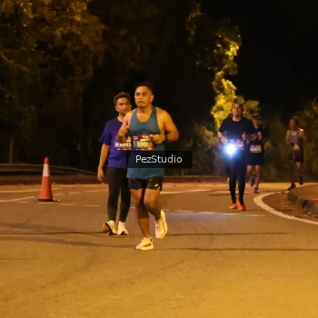 Runner Photo 3539171