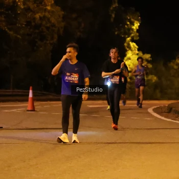 Runner Photo 3539173