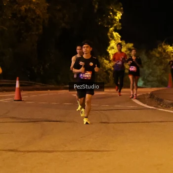 Runner Photo 3539183