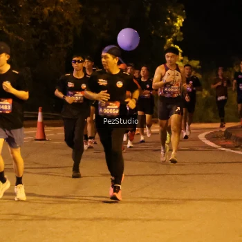 Runner Photo 3539205