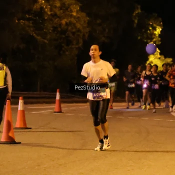 Runner Photo 3539214