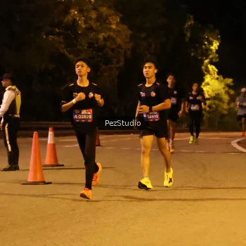 Runner Photo 3539228