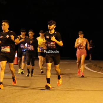 Runner Photo 3539246