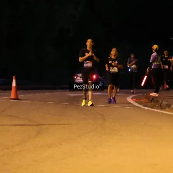 Runner Photo 3539303